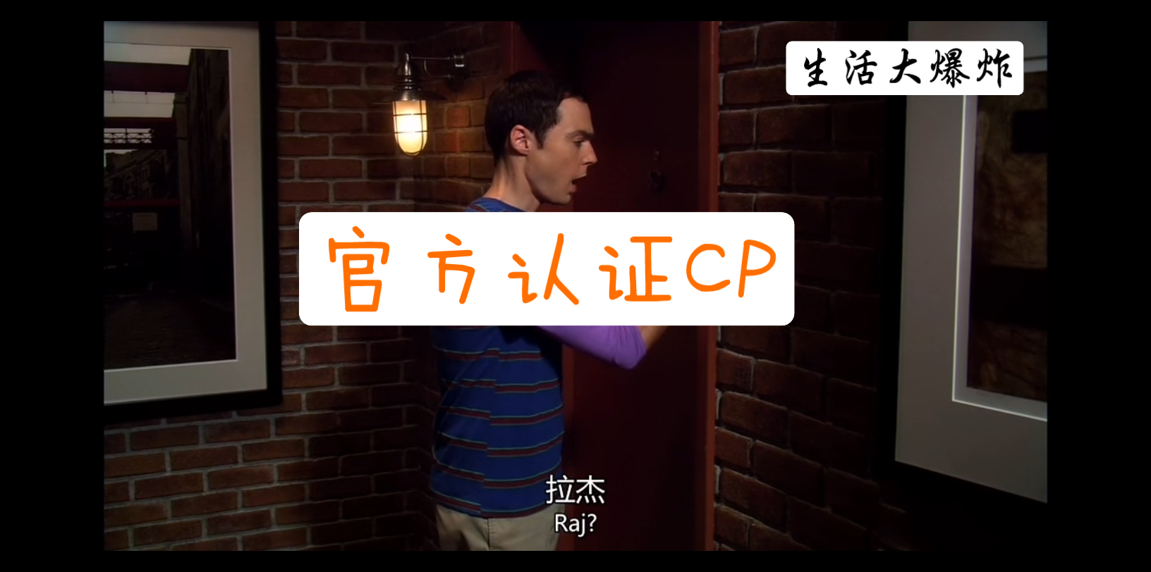 【TBBT】Raj、霍德华获得官方认证!哔哩哔哩bilibili