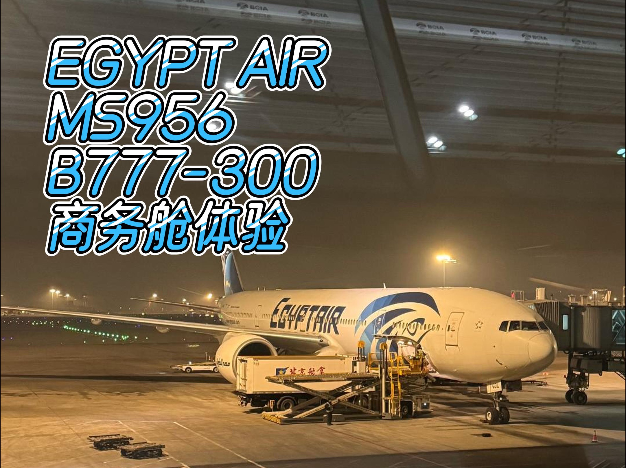 埃及航空MS956北京✈️开罗商务舱体验哔哩哔哩bilibili