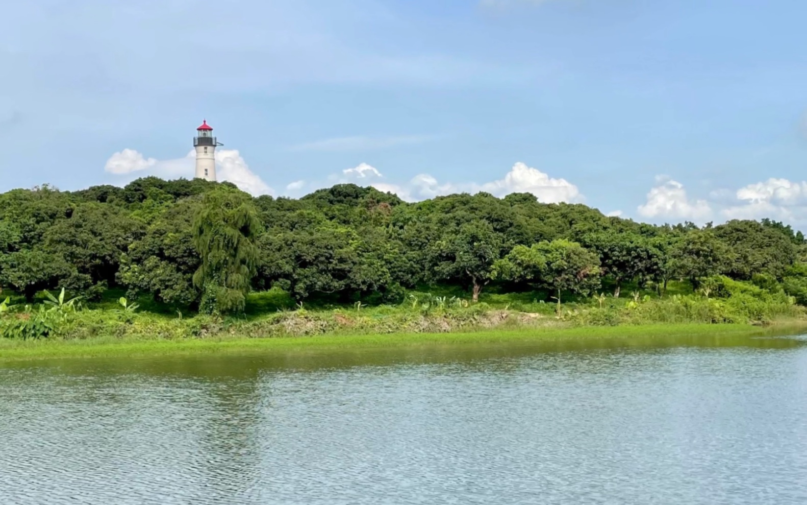 骑行东莞大屏障森林公园和松山湖