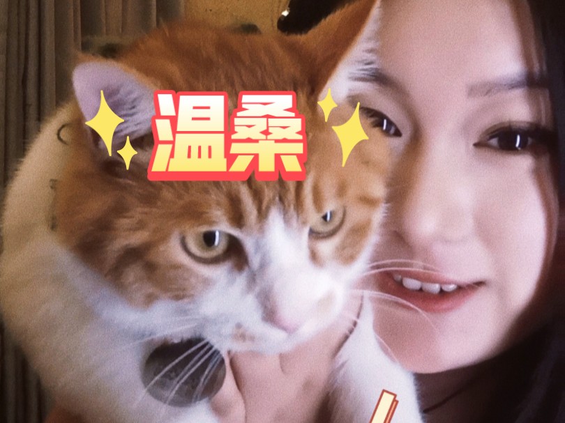 猫猫叫mermer哔哩哔哩bilibili