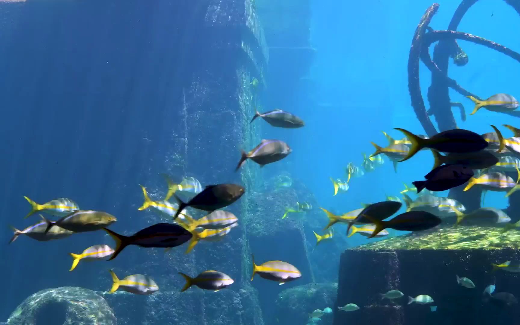 海底世界海洋婚礼主题少儿节目童话世界烧烤店咖啡馆酒吧夜店ktv大