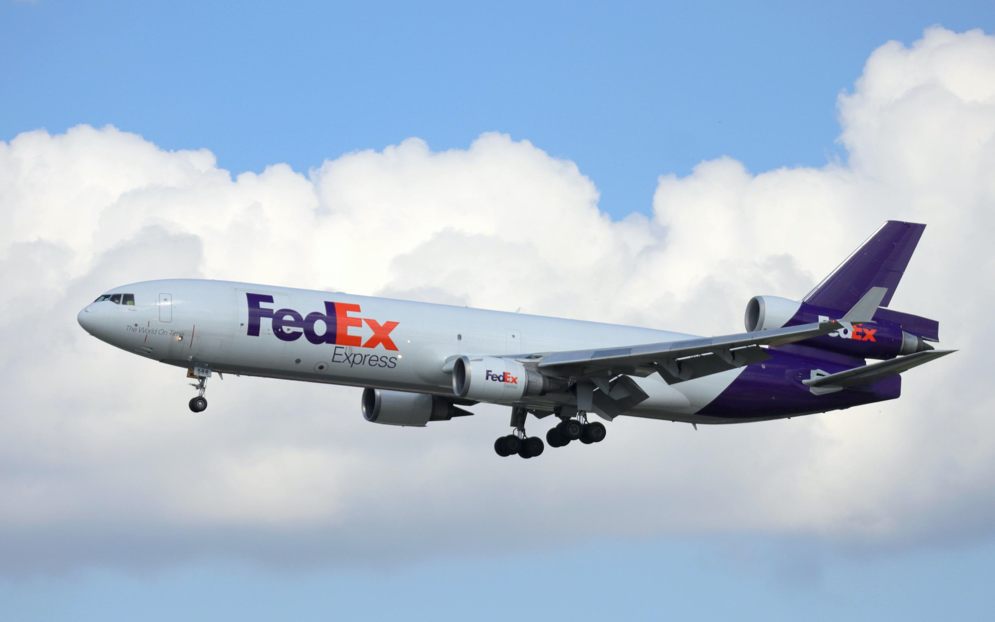 联邦快递80号班机:我是一只小兔叽