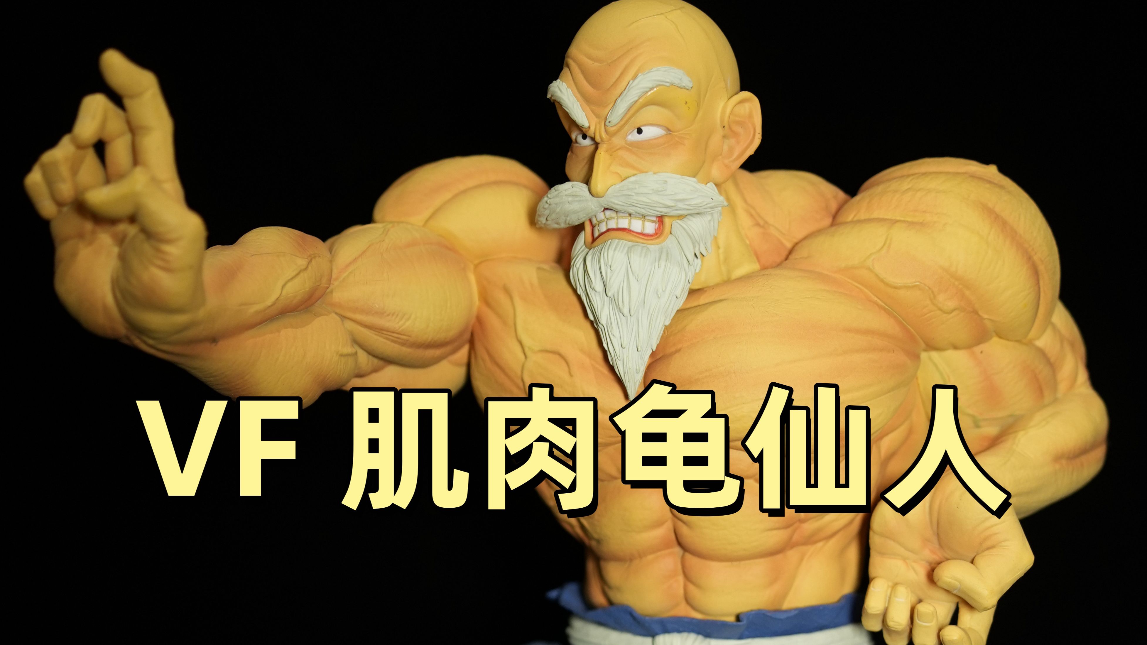 龙珠 vf 肌肉龟仙人 master roshi
