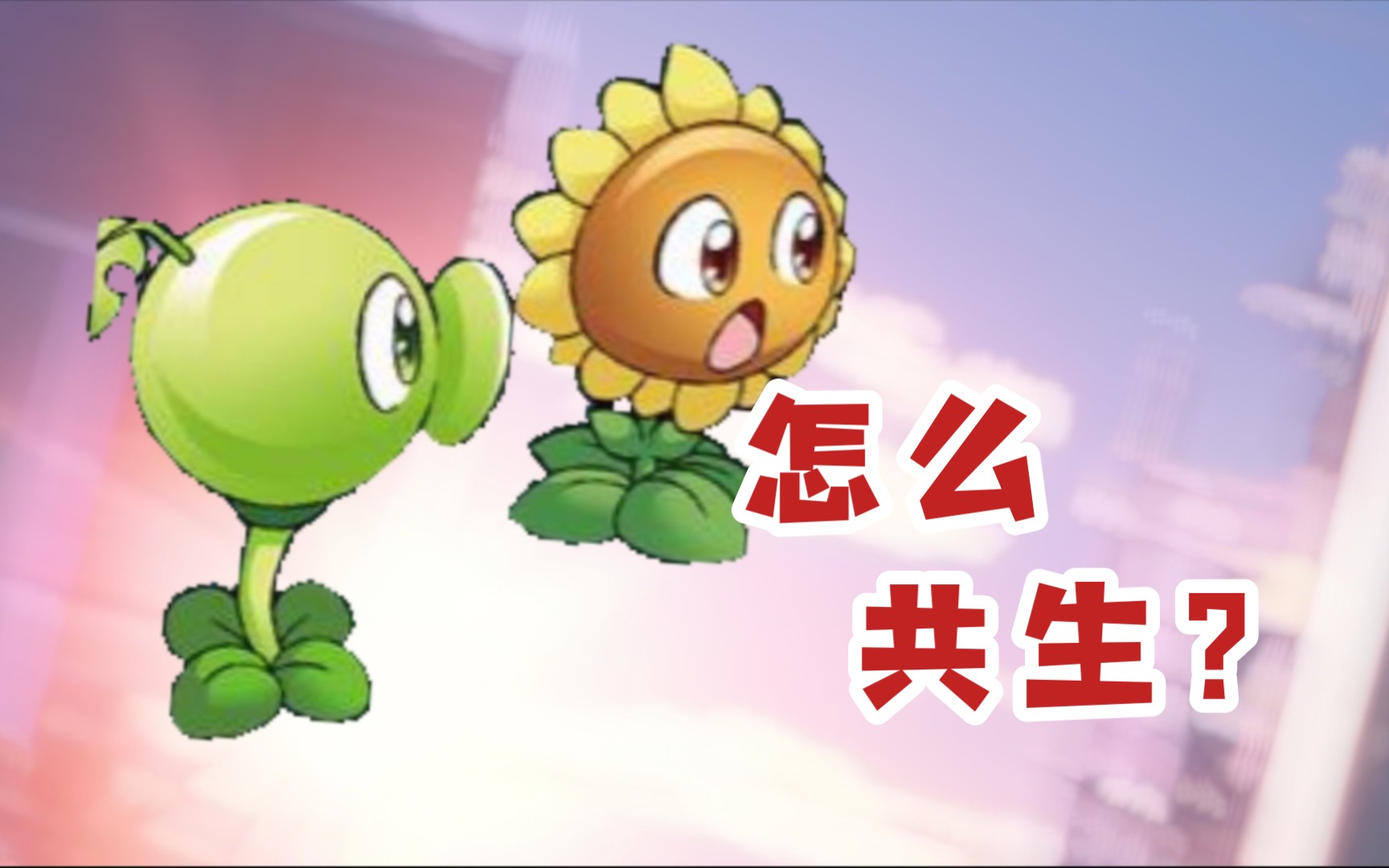 豌豆和向日葵如何共生?快进来看看!