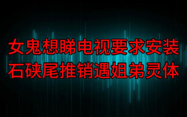 【粤语纯音频】女鬼想睇电视要求安装,石硖尾推销遇姐弟灵体哔哩哔哩bilibili