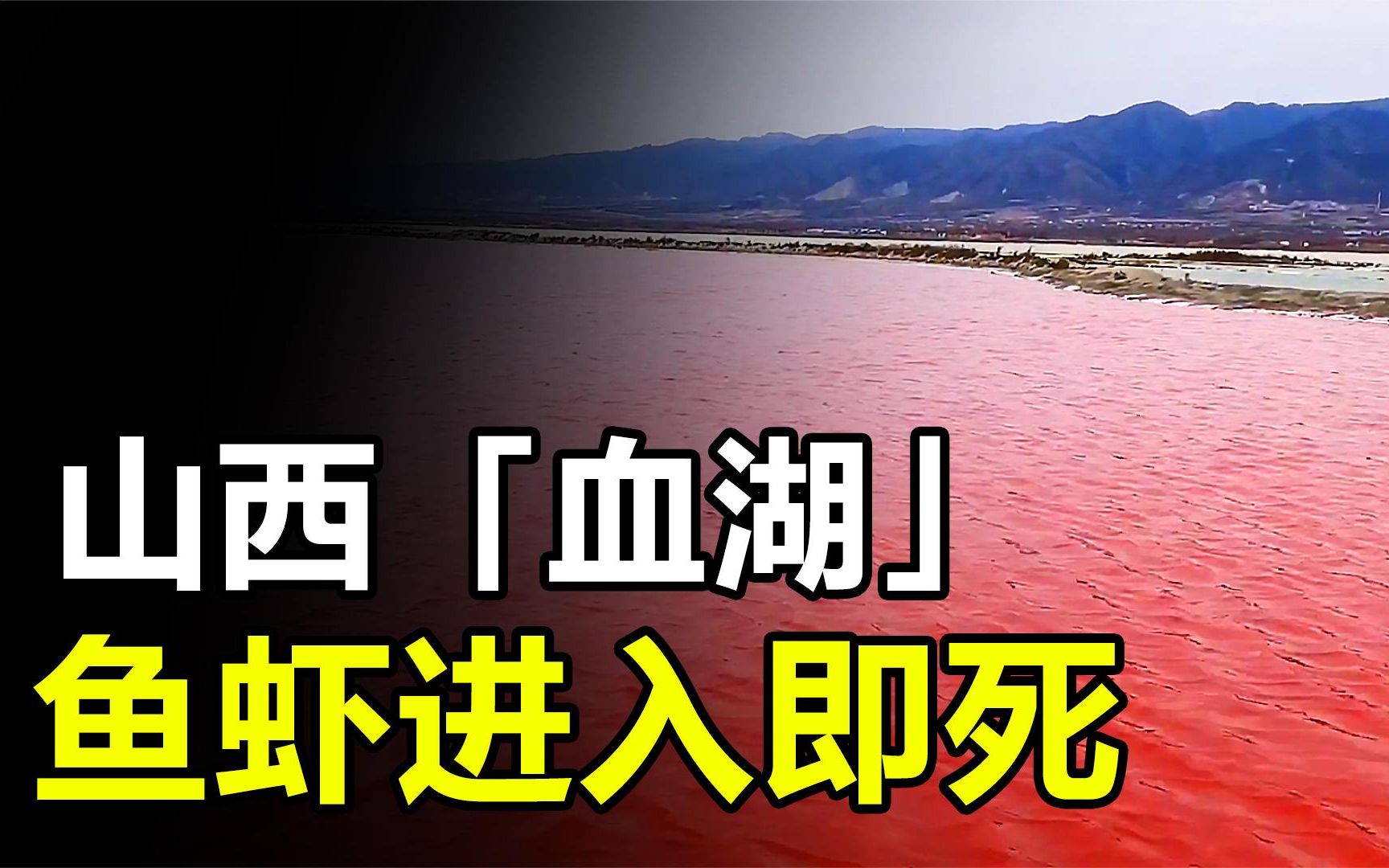 山西发现神秘"血湖",鱼虾进入后立马死亡,究竟藏着什么秘密?