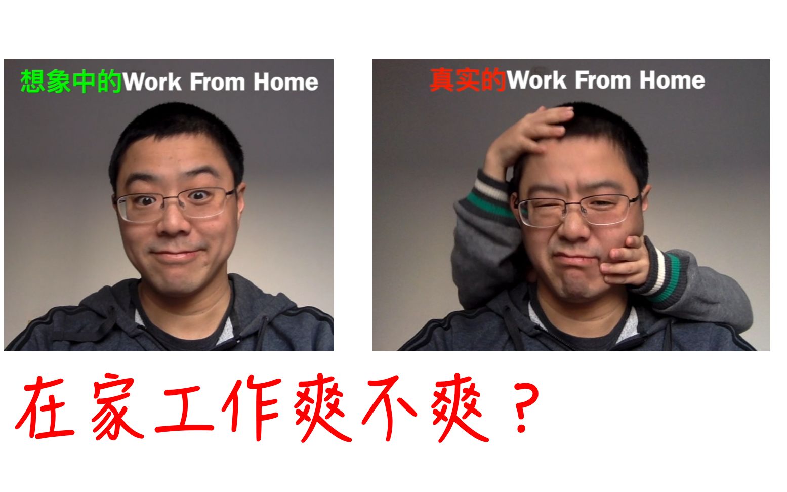 在家工作爽不爽?想象中的WFH vs. 真实的WFH哔哩哔哩bilibili