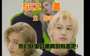 Download Video: 【STRAY KIDS辰菲】我们队里好像真的有盖吧！第五章 黄铉辰Felix李龙馥