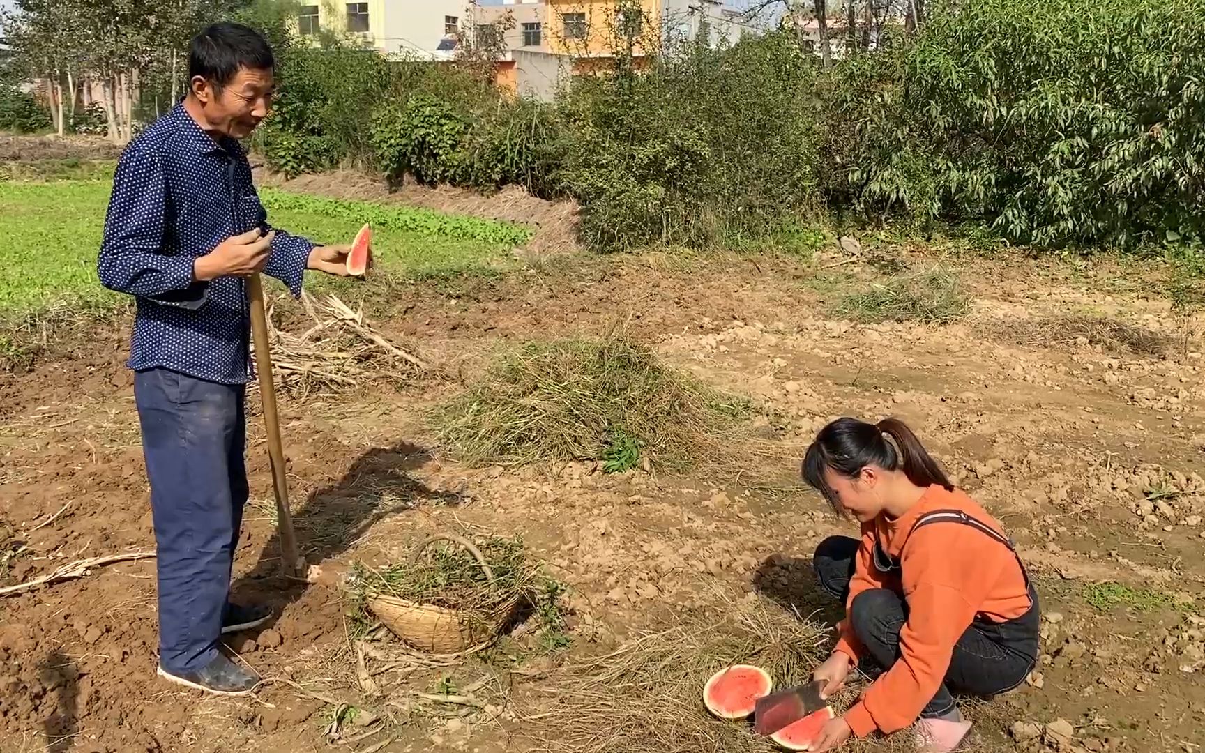 [图]公爹说地头藏个西瓜，儿媳妇拎着菜刀就去了，切开尝尝那叫一个美