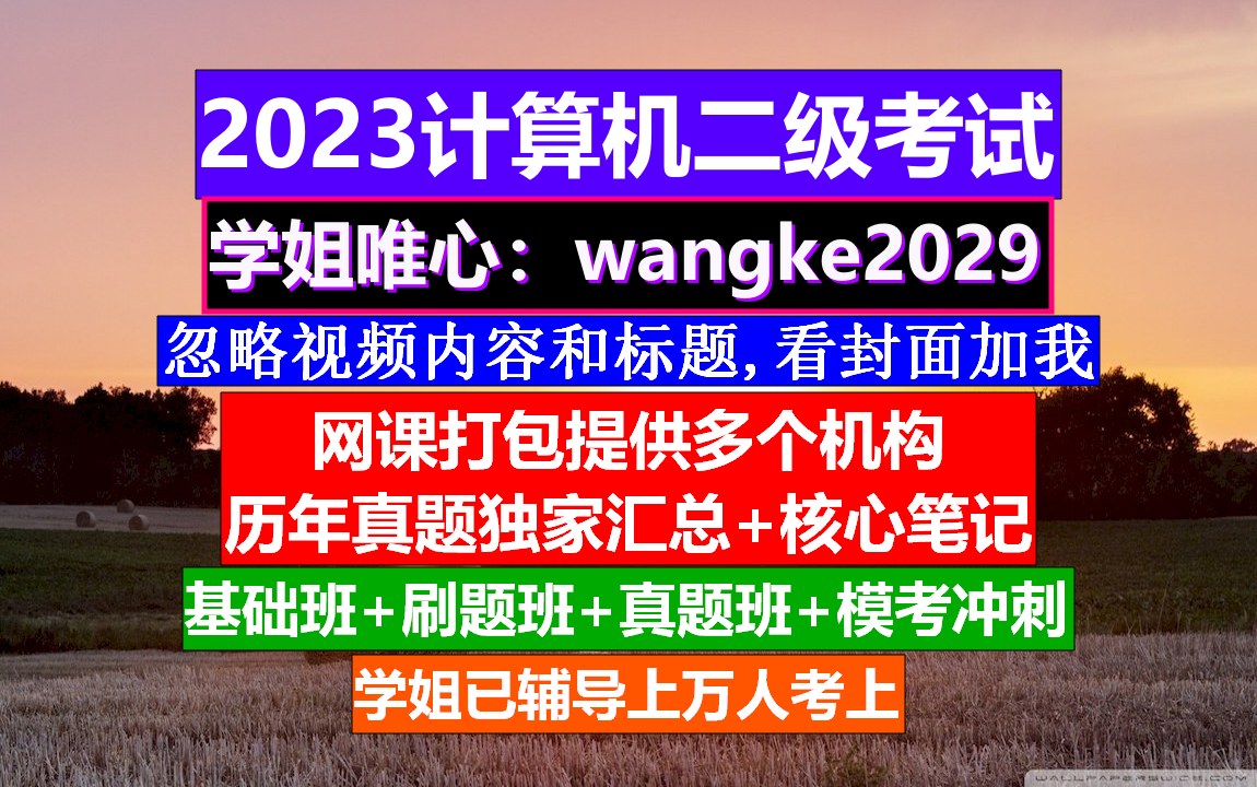 计算机二级考试,计算机二级报名查询,计算机二级自学哔哩哔哩bilibili