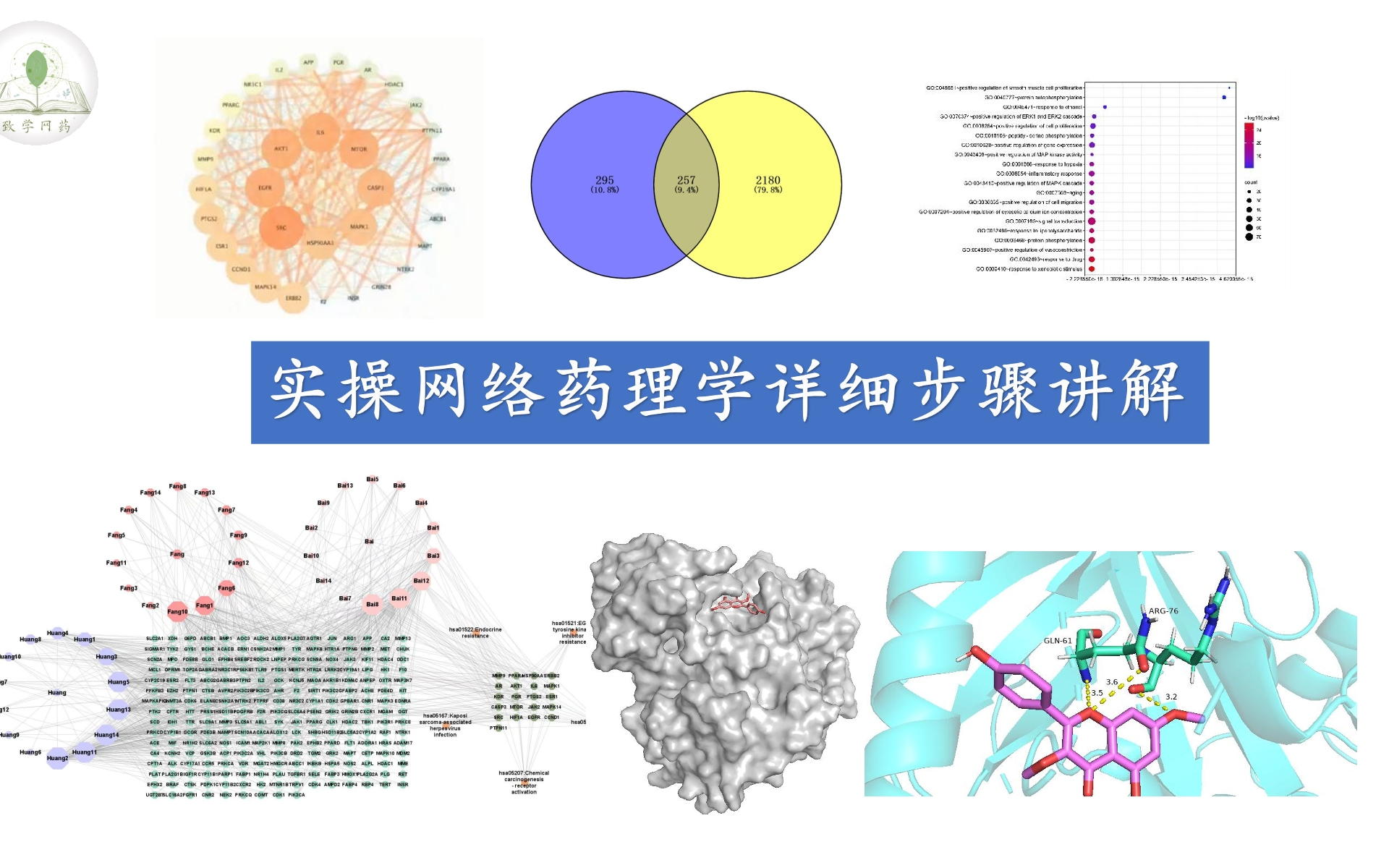 网络药理学实操详细步骤讲解哔哩哔哩bilibili