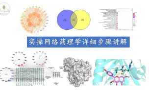 Tải video: 网络药理学实操详细步骤讲解