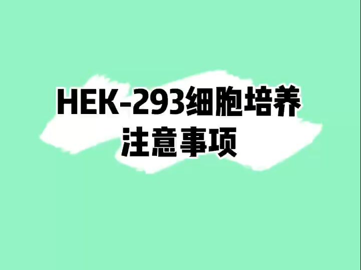 HEK293细胞培养注意事项#细胞培养#注意事项哔哩哔哩bilibili