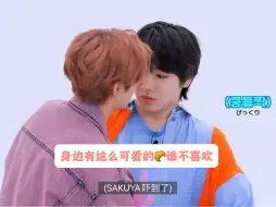 下载视频: 【NCT WISH】划愿最好嗑的就是all忙内！！！sakuya^ ^