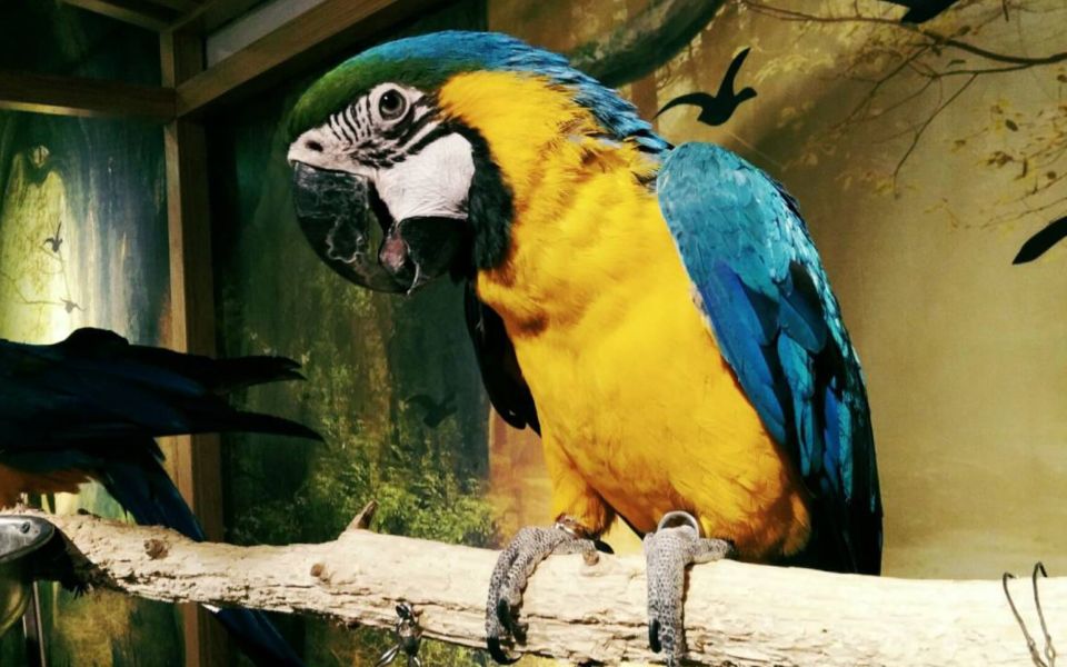 vlog闲逛开封万博小动物园