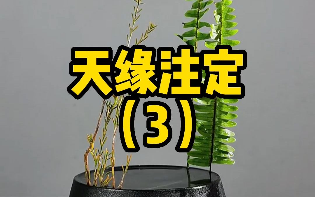 [图]天缘注定（3）