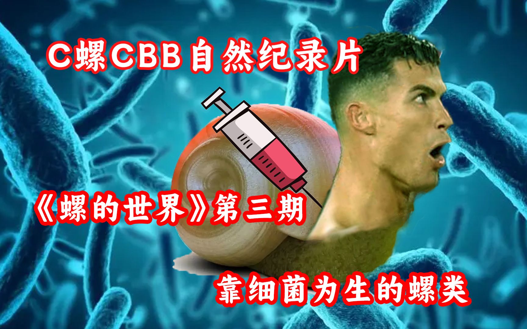 [图]C罗CBB自然纪录片《螺的世界》第三期上丨螺与菌，我罗又赢了，赢麻了！梅西输了！拷打梅西