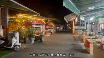 Download Video: 海南超小众海岛❗️白沙滩玻璃海人少景美