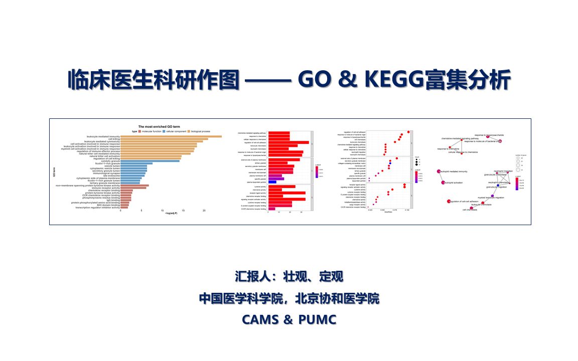 临床医生科研作图——15.GO&KEGG富集分析哔哩哔哩bilibili