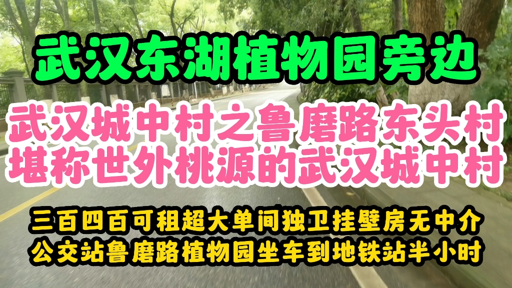 武汉城中村鲁磨路东头村堪称世外桃源的城中村房租便宜不贵超大单间才几百块哔哩哔哩bilibili