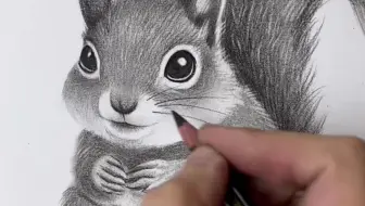 零基础也能画！超可爱松鼠素描教程