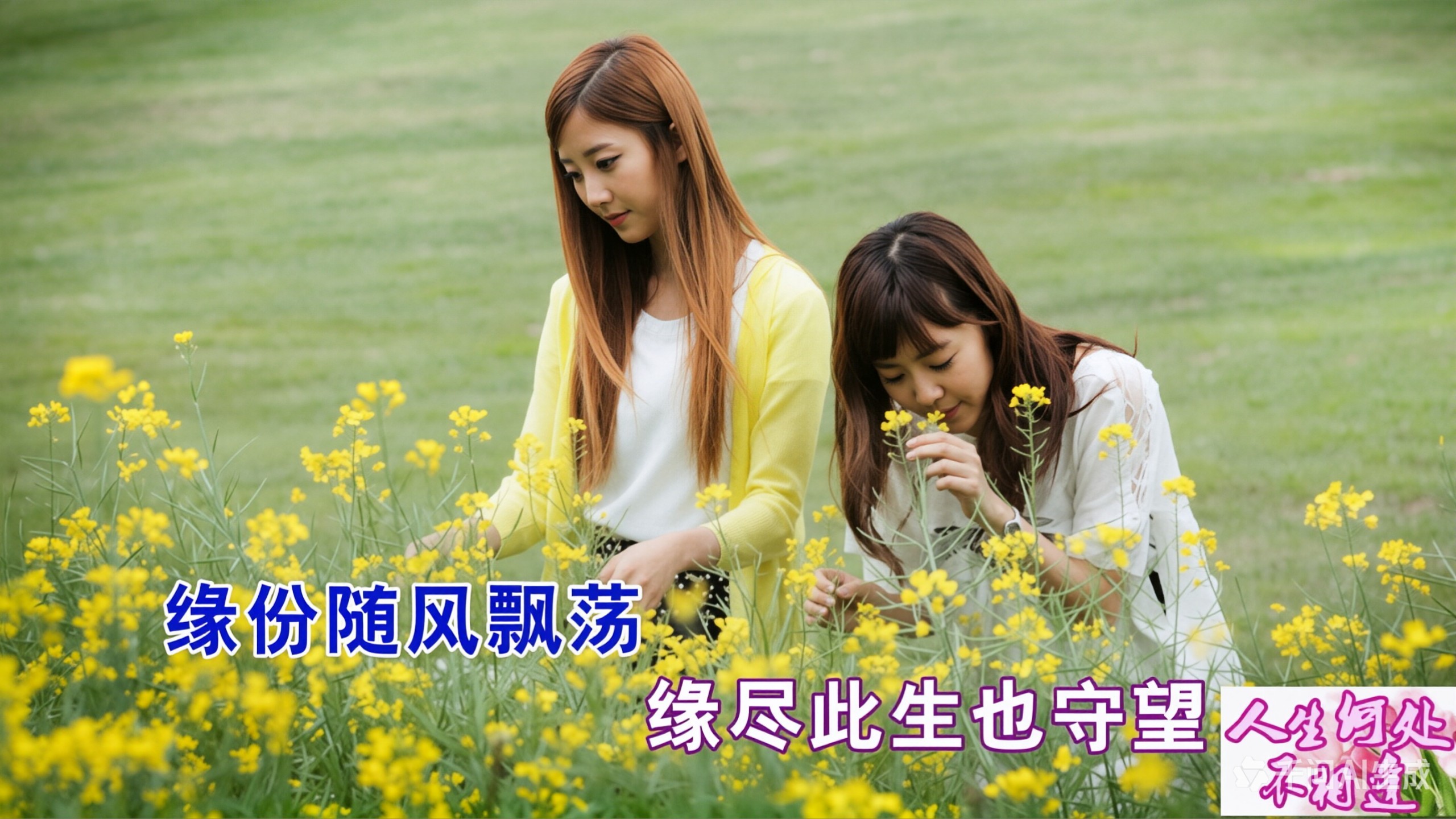 陈慧娴《人生何处不相逢》，相逢何必曾相识