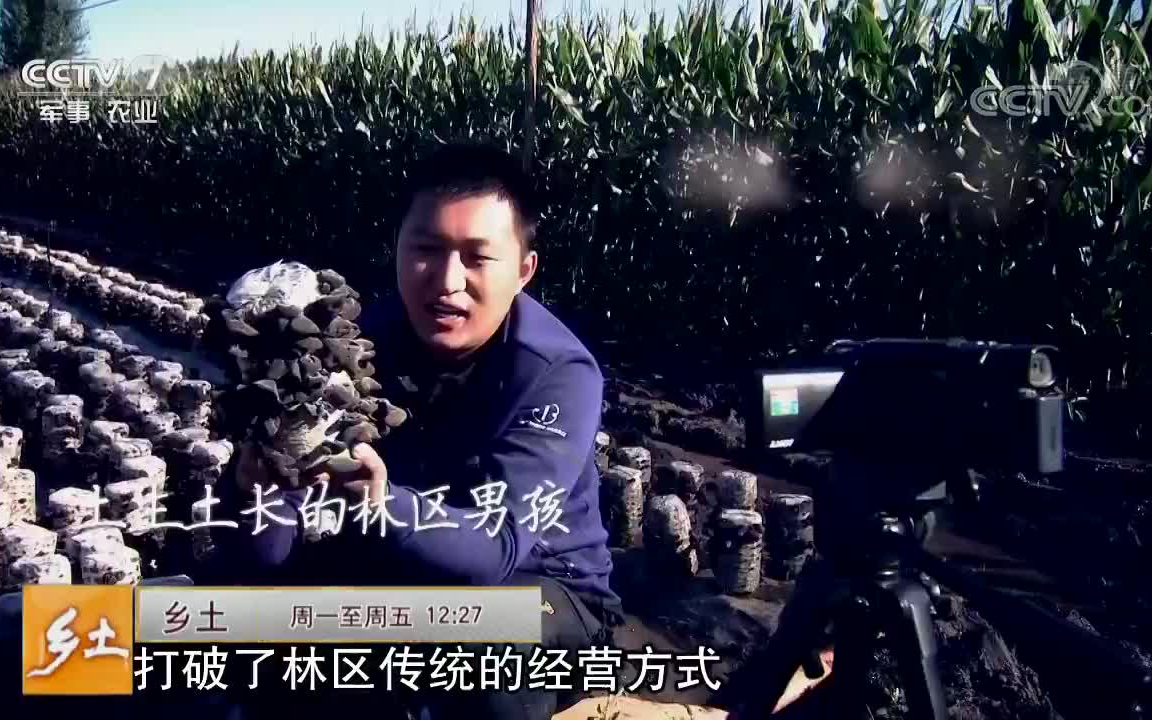 乡土20181022寻味中国完达山哔哩哔哩bilibili