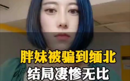 胖妹被骗到缅北,结局凄惨无比哔哩哔哩bilibili