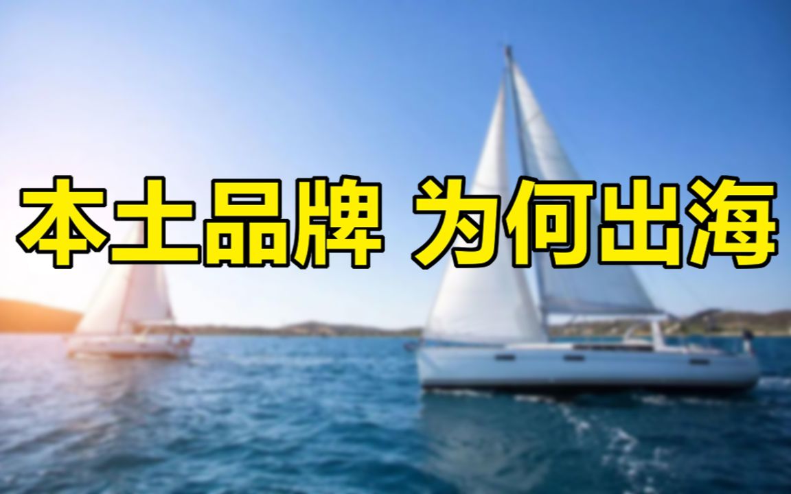 从被打压到集体出海,本土品牌经历了什么?哔哩哔哩bilibili