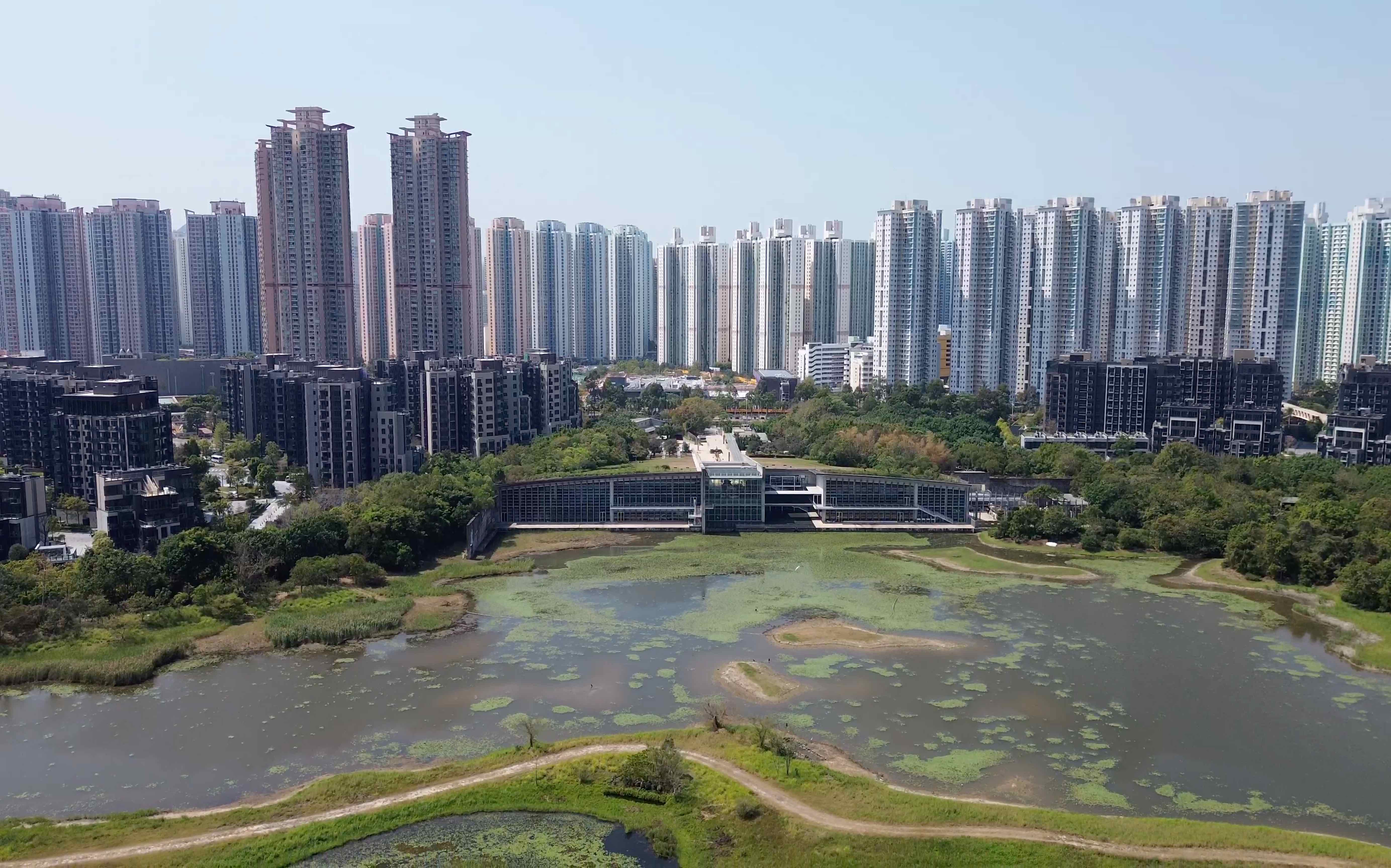 深圳灣的另一半:天水圍,石屎森林邊緣的香港溼地公園