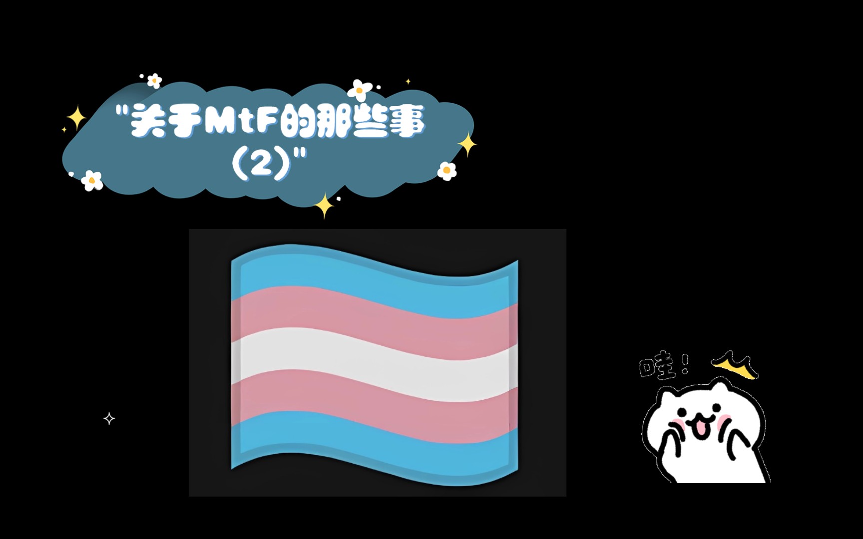 关于MtF的那些事(2)哔哩哔哩bilibili