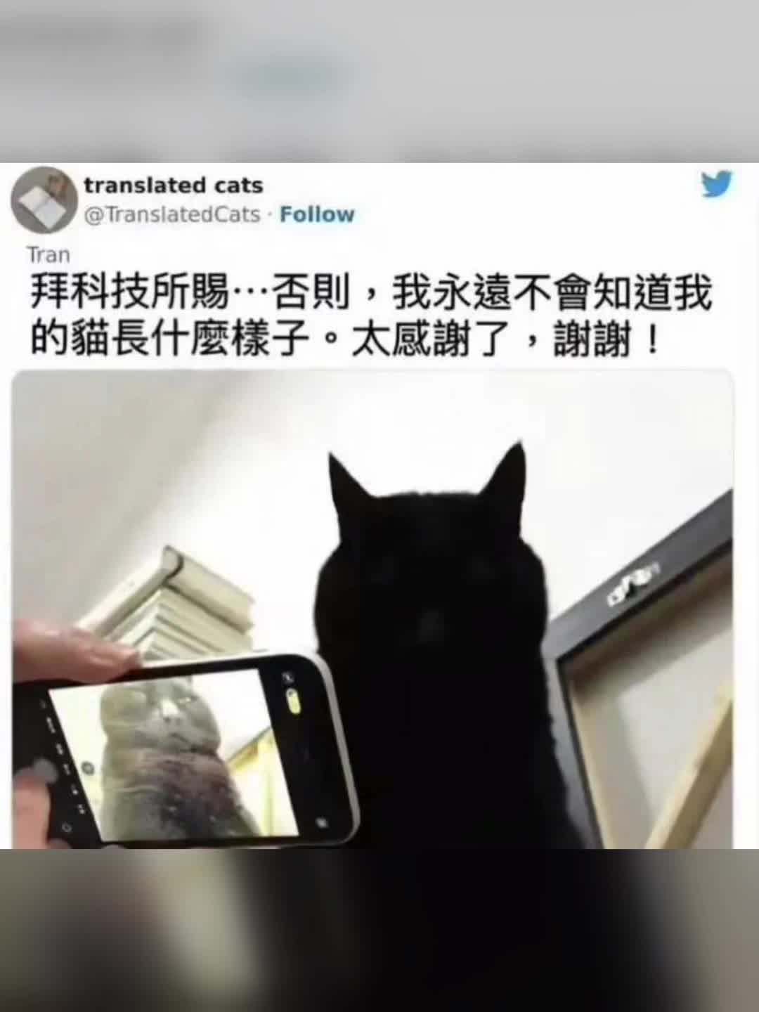 网络吊图九十三:感谢科技让我知道了我的猫长什么样子哔哩哔哩bilibili