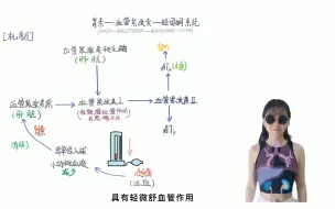 下载视频: 【生理】肾素-血管紧张素-醛固酮系统（RAAS）