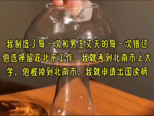 穿越后,我亲手制造了每一次和男主丈夫的每一次错过,他选择留在北平工作,我就考到北南市上大学,他被掉到北南市,我就申请出国读研哔哩哔哩bilibili