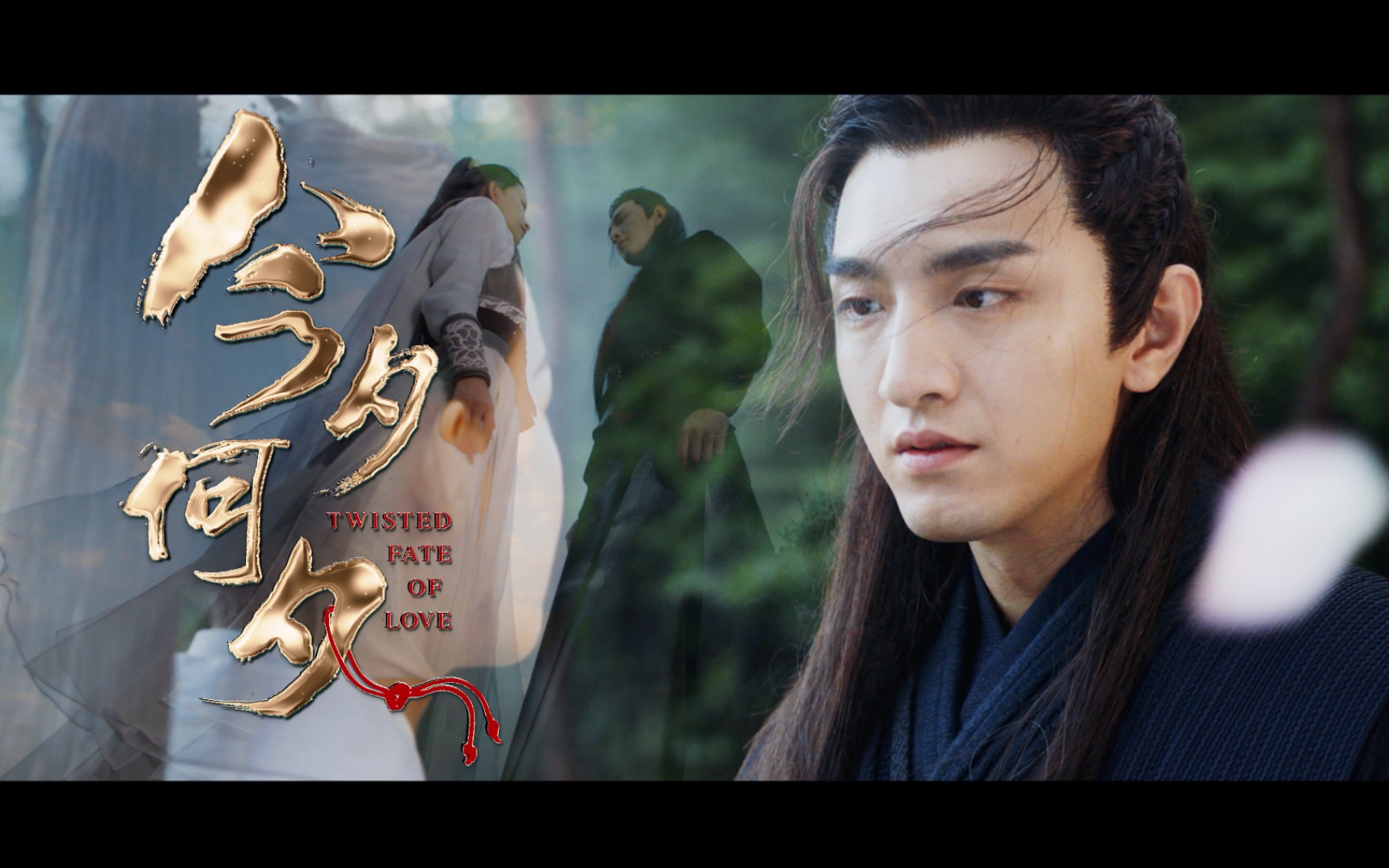 预告片 今夕何夕 概念版