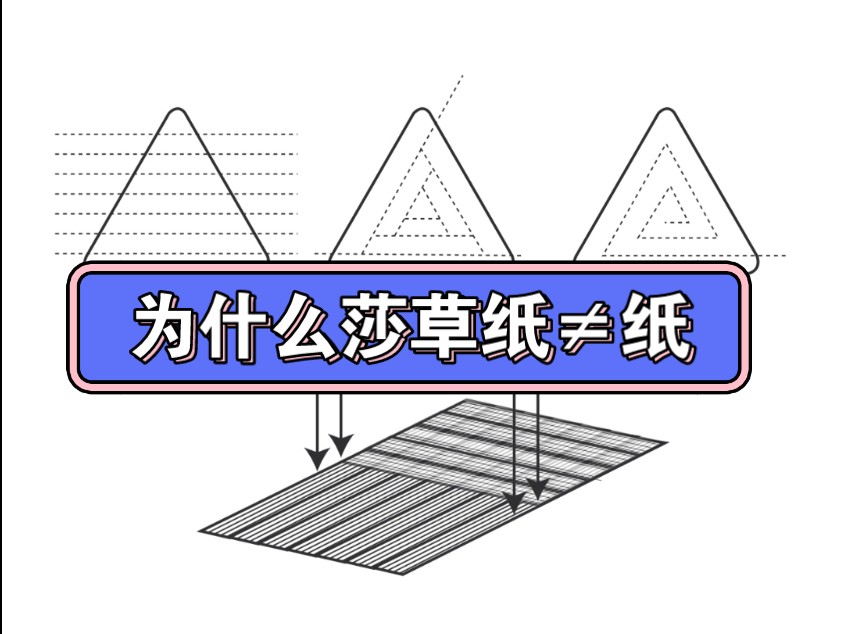 为什么说莎草纸不是纸,造纸术是中国独有的创造哔哩哔哩bilibili