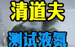 Скачать видео: 用液氮把清道夫瞬间冰冻，解冻后还能否复活呢？其实是回光返照罢了！