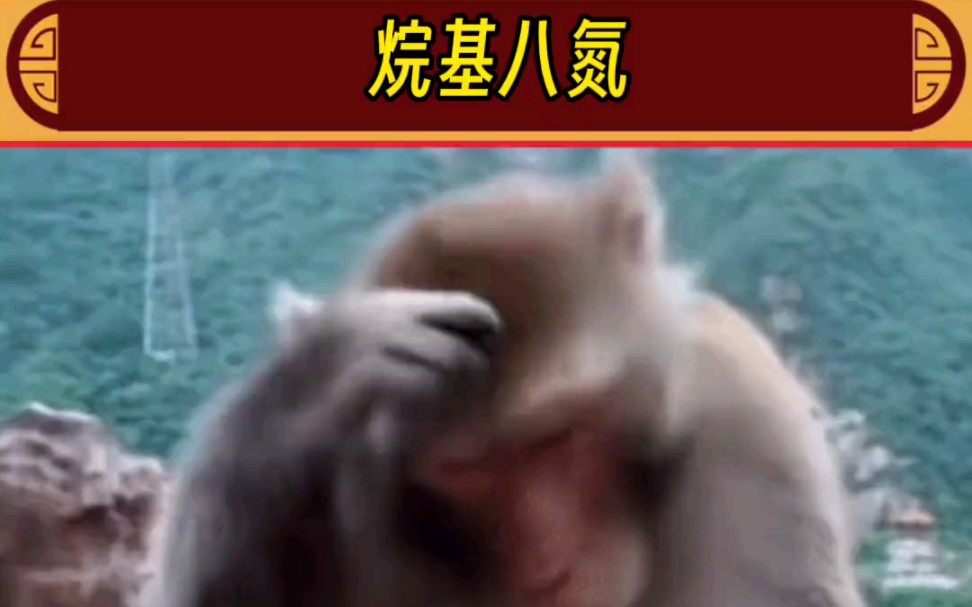 烷基八氮了!