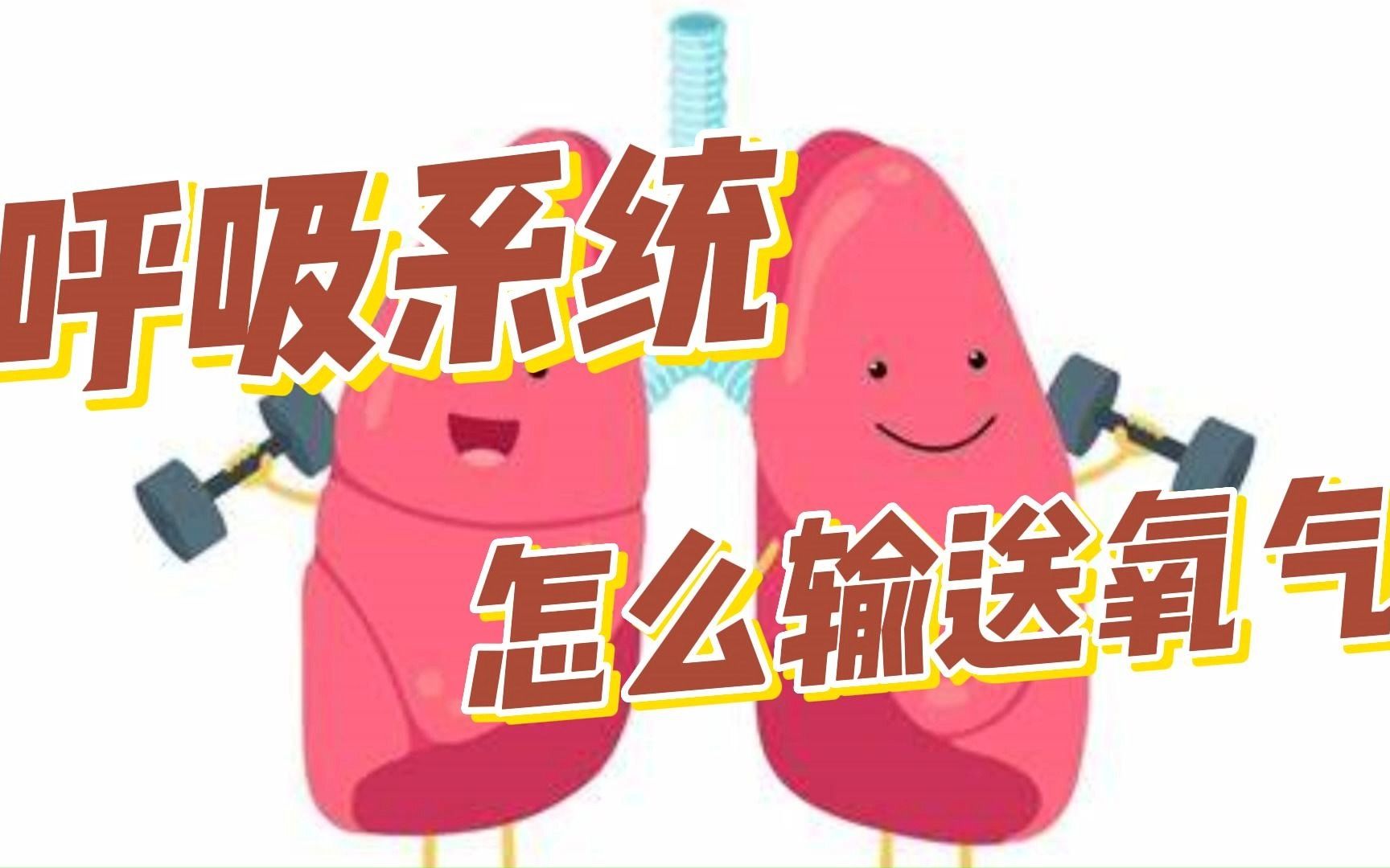 [图]带你了解呼吸系统是怎么输送氧气的