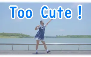 Descargar video: 【绵羊】too cute！