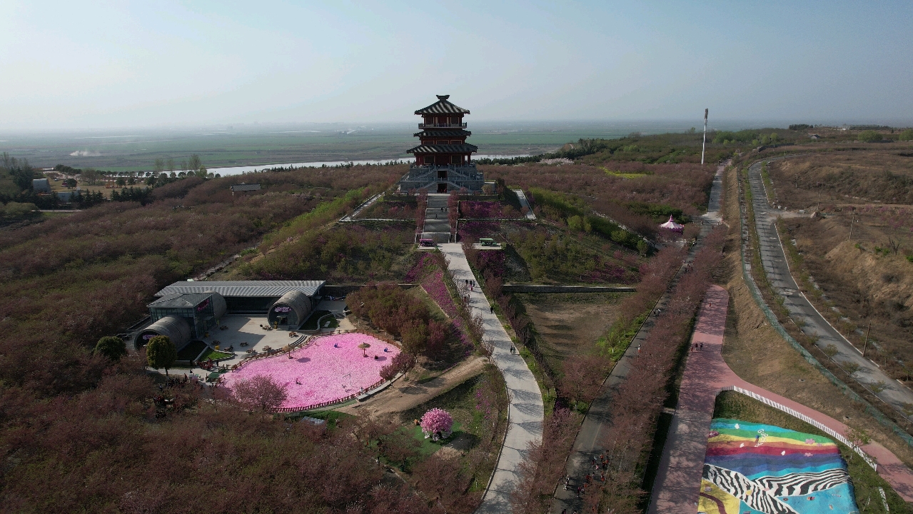 黄河古柏渡旅游区图片