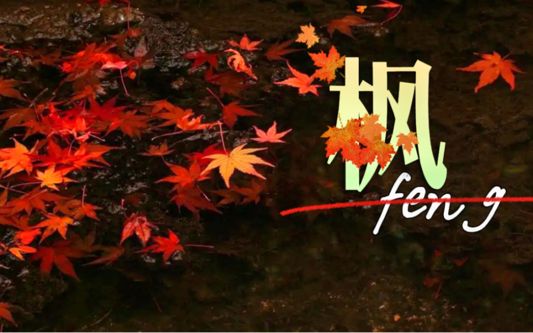 【洛白lyric】翻唱周杰伦《枫》Ι 缓缓飘落的枫叶像思念