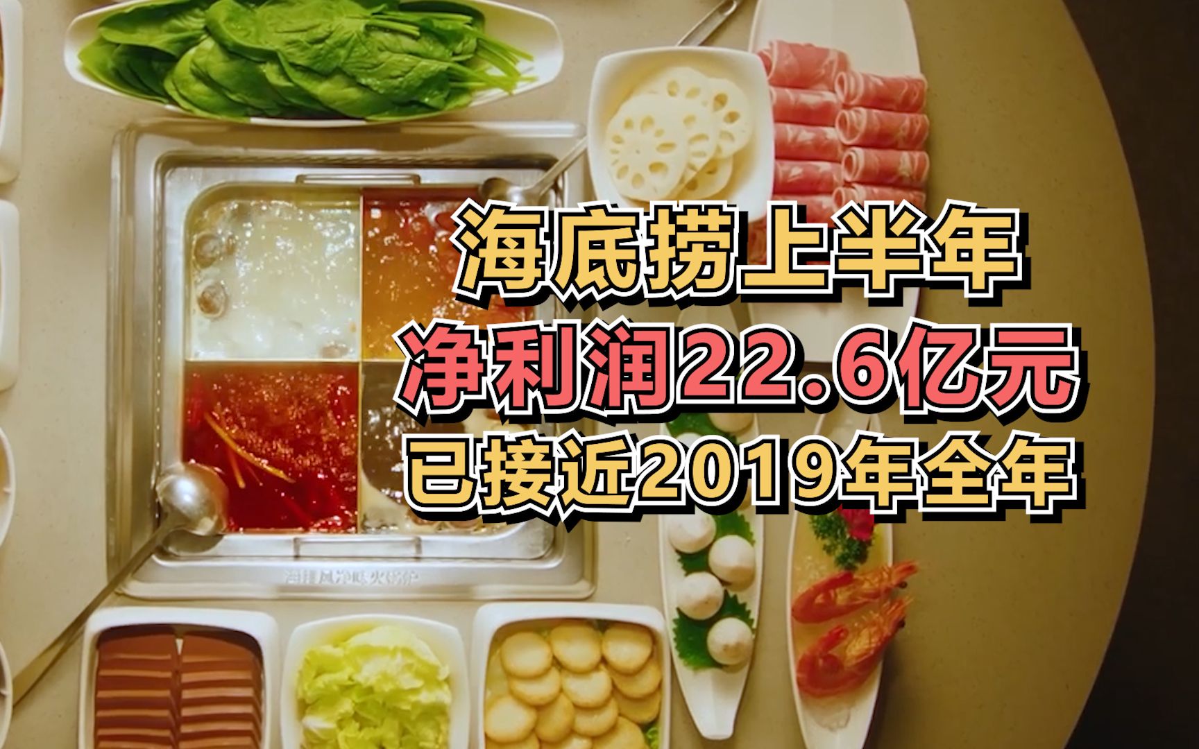 海底捞上半年净利润22.6亿元,已接近2019年全年哔哩哔哩bilibili