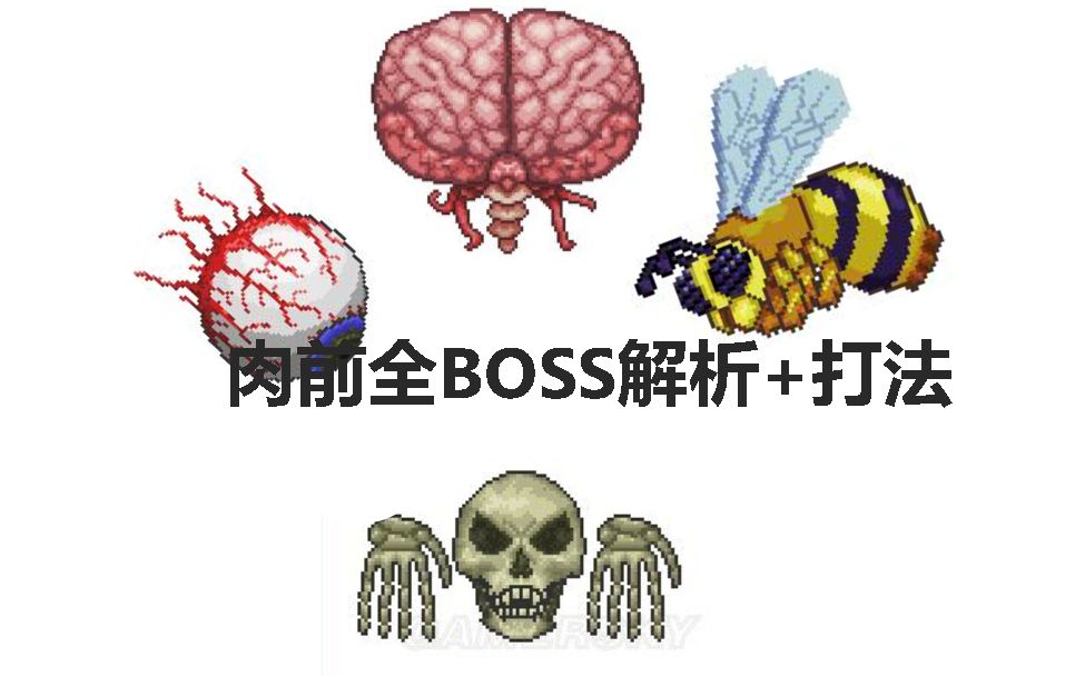 泰拉瑞亚专家模式B0SS解析+打法!【肉山前篇】哔哩哔哩bilibili