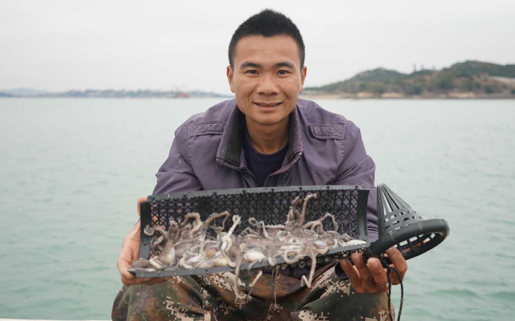 阿烽出海抓到几十只小章鱼,一只能卖十几块,轻轻松松赚了400多