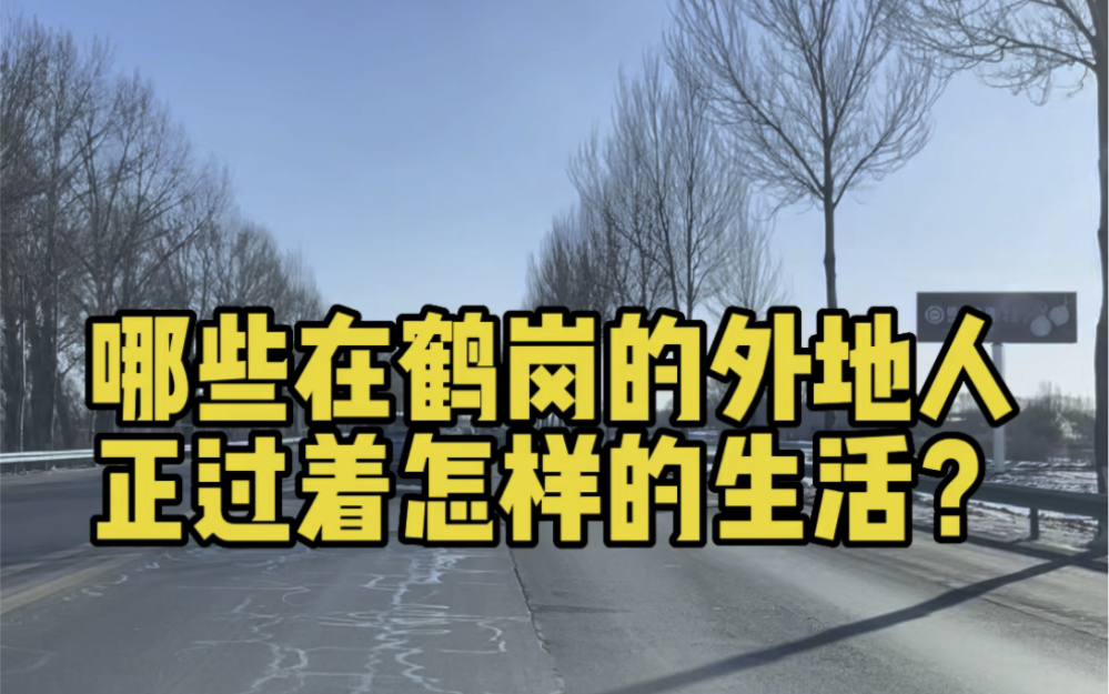 哪些在鹤岗的外地人现在生活在一个怎样的城市环境里?哔哩哔哩bilibili