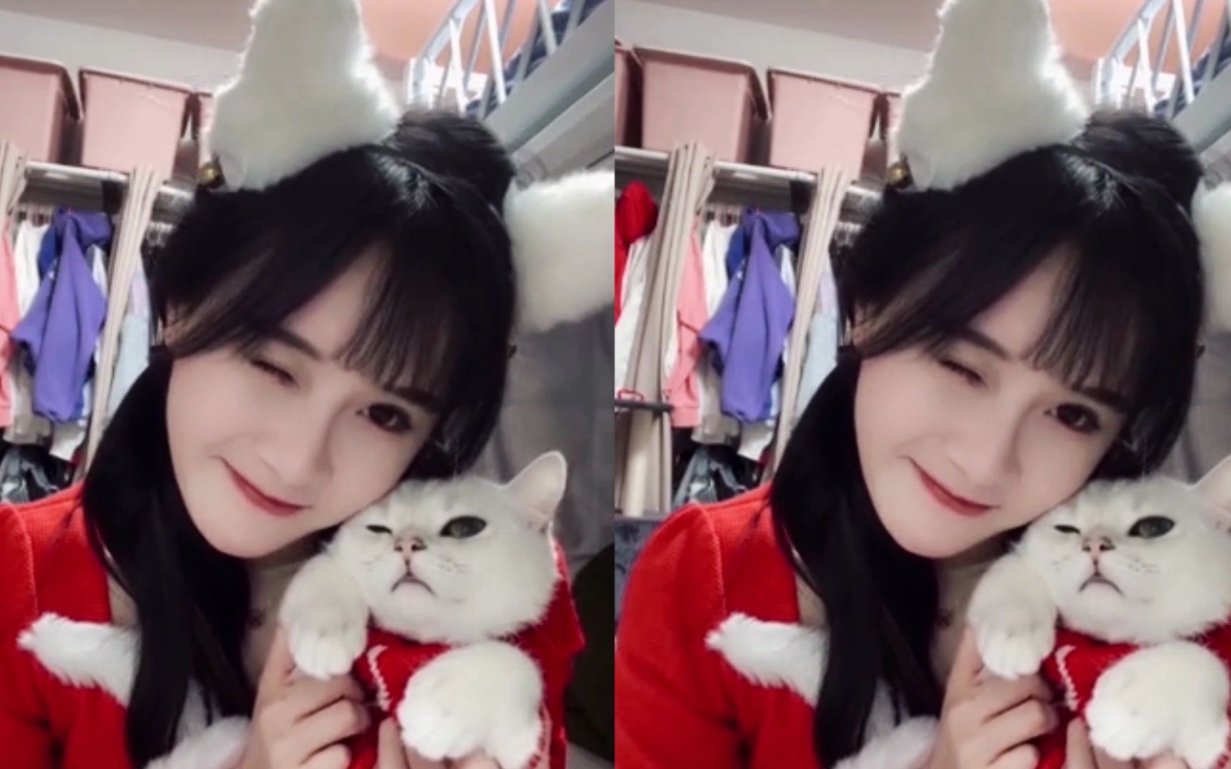 【snh48 段艺璇】点击收获塞纳河最可爱的小猫咪 || 圣诞猫耳混剪 甜