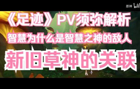 【原神3.0】原神《足迹》pv须弥部分解析!带你看懂须弥主线究竟讲了什么!教令院为何冷落现任草神?须弥后续剧情走向猜测及大慈树王与小吉祥草王的...