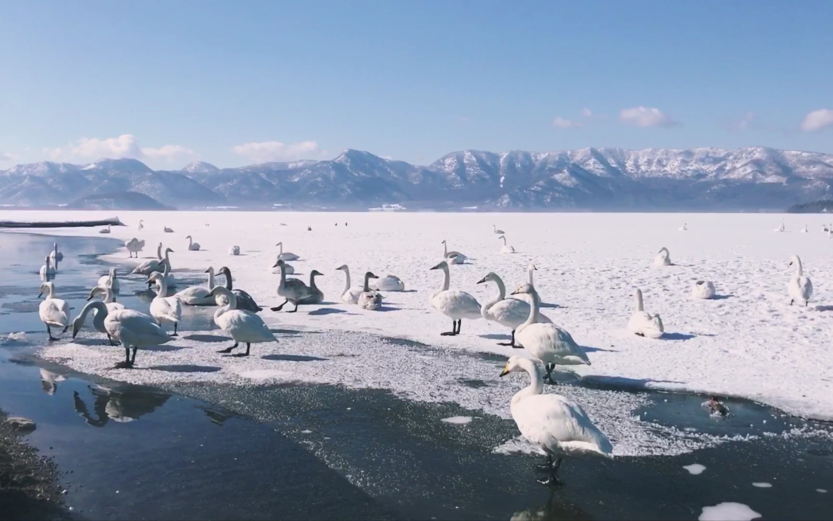 北海道之旅 阿寒湖 小樽