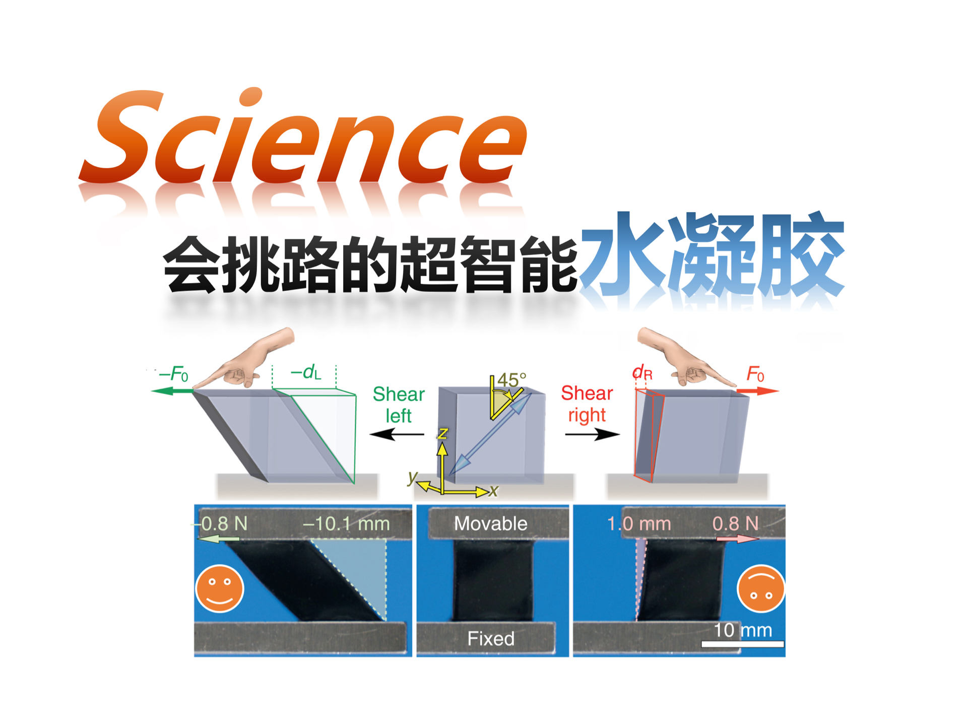 【Science】不对称机械响应水凝胶(刘艳华)哔哩哔哩bilibili